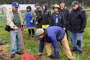White Rock, South Surrey Rotarians pitch in for 'epic' impact