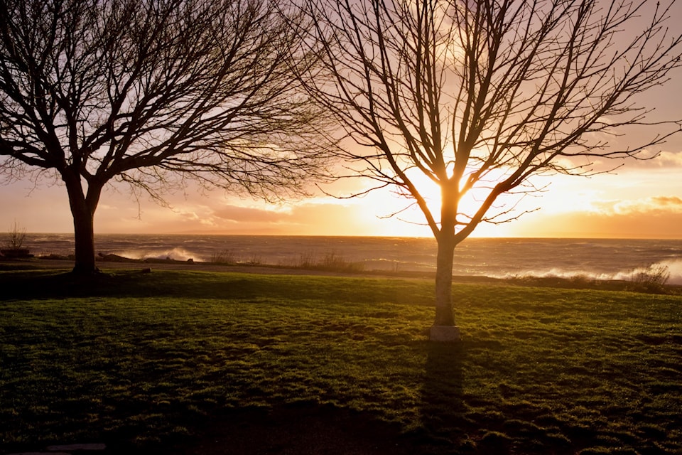 241219-pan-windstorm-cb-geoff-10