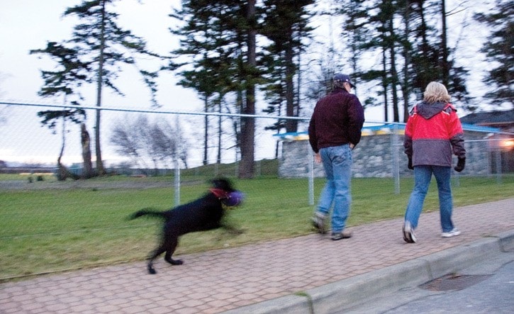 Dog walkers can't gain entry to the park