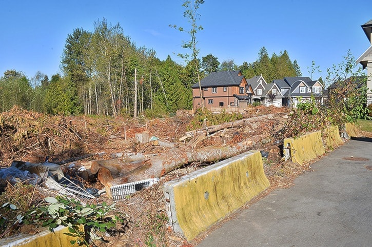 Clearcut property with a stop-work order at 5904 144 St.