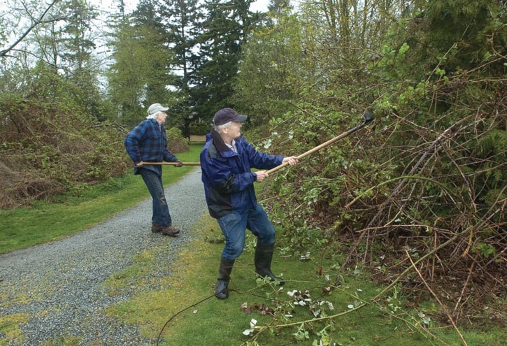 82707whiterockInvasiveRemoval042511-01
