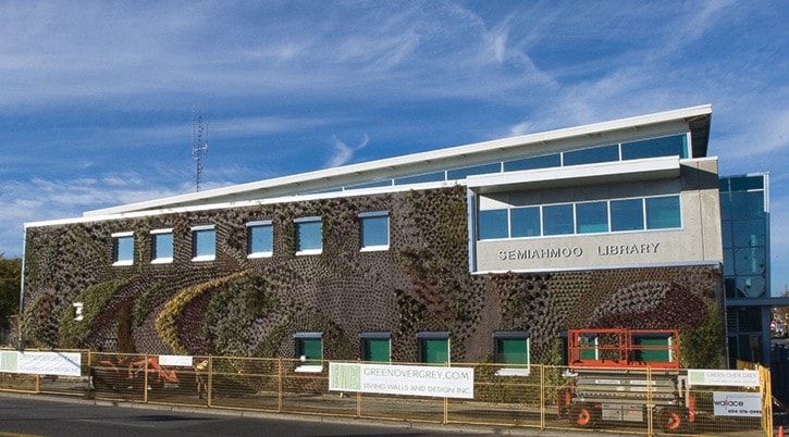 photo of the living wall on the south side of the Semiahmoo Library.