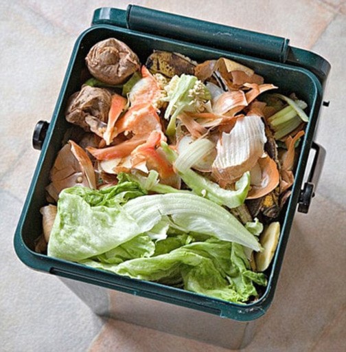 99263BCLN2007food_waste_recycling