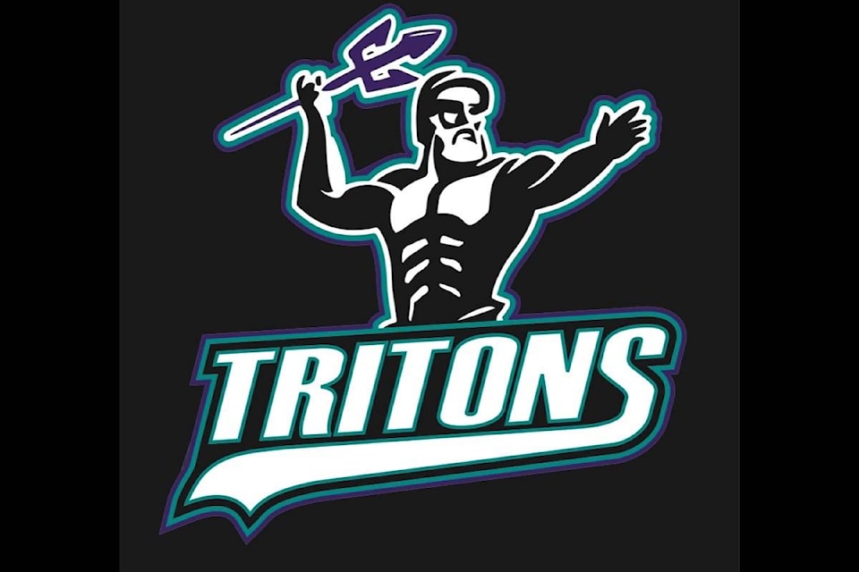 web1_170421-PAN-M-NEW-Triton-logo