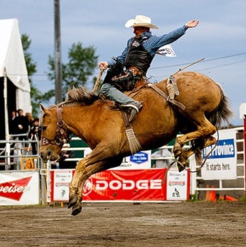 86337cloverdalewSaddleBronc