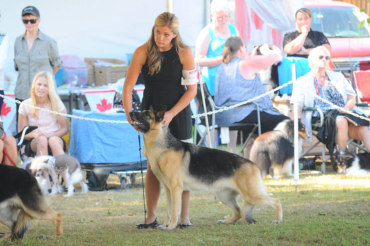 7907042_web1_dogshow4