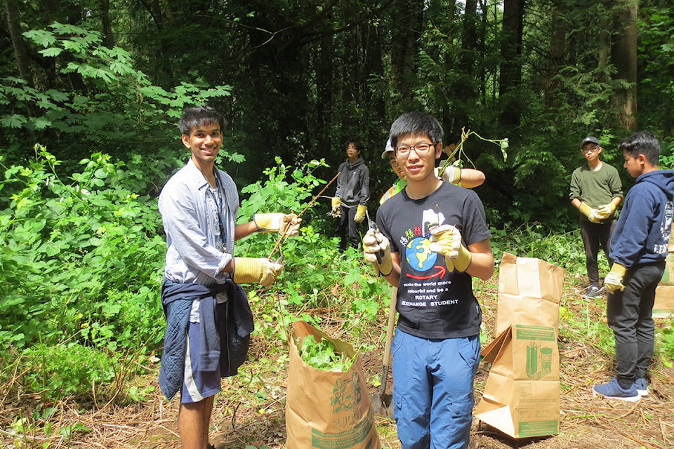 7936869_web1_Youth-volunteers-at-Bose-Forest-Park--2-