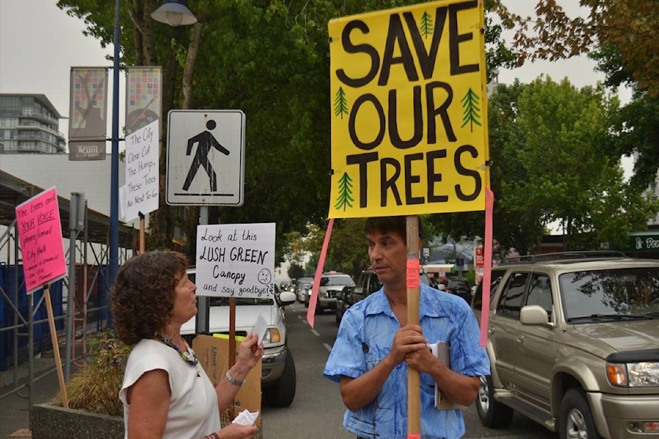 8402544_web1_170906-PAN-M-tree-protest1