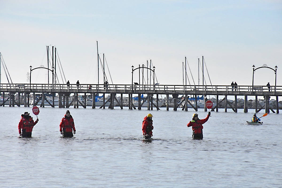 10018917_web1_180102-PAN-M-WhiteRock-Polar-Bear-Plunge-lp-04