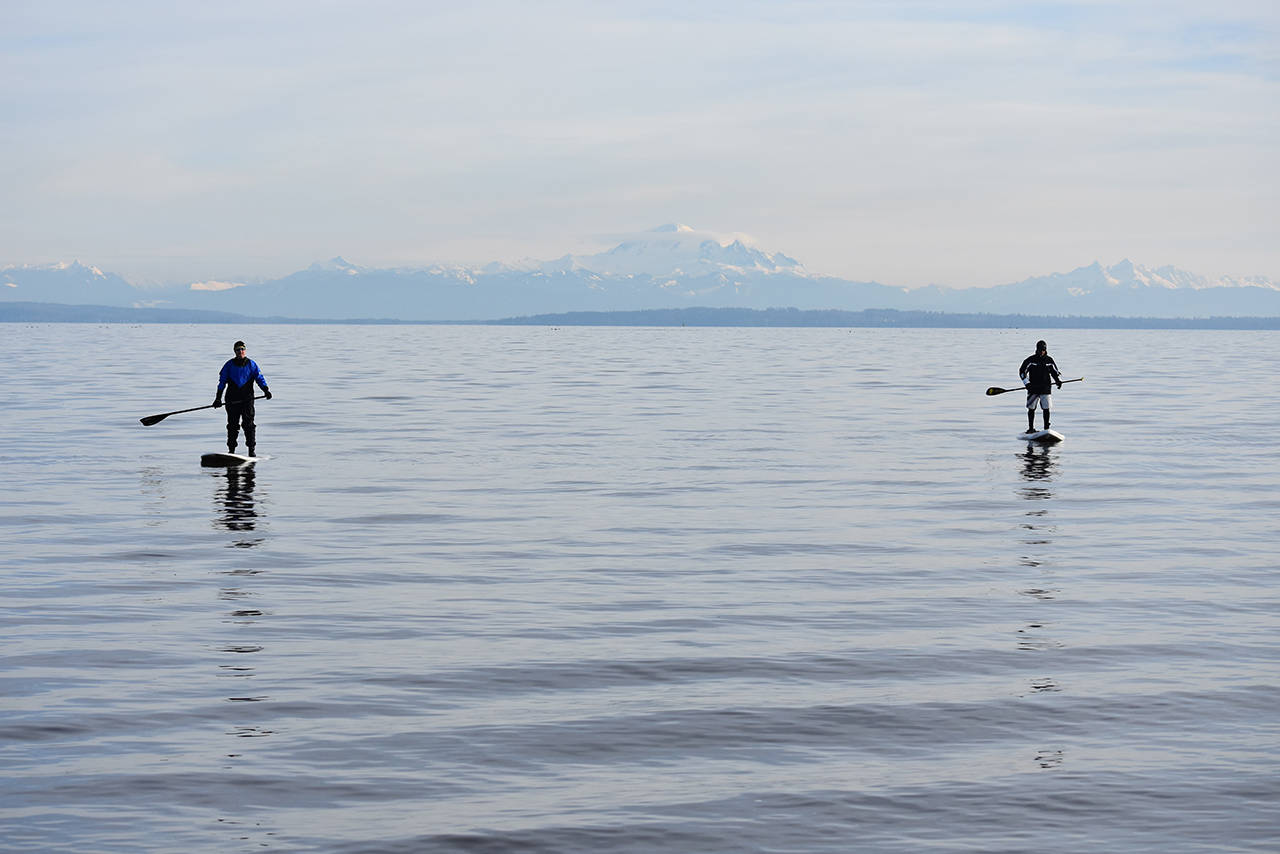 9973223_web1_180104-NDR-PolarBearSwim_2