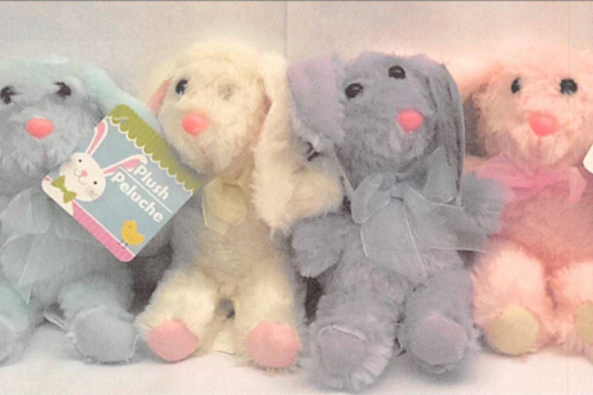Dollar store clearance teddy bears