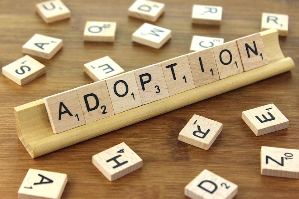 14231644_web1_adoption