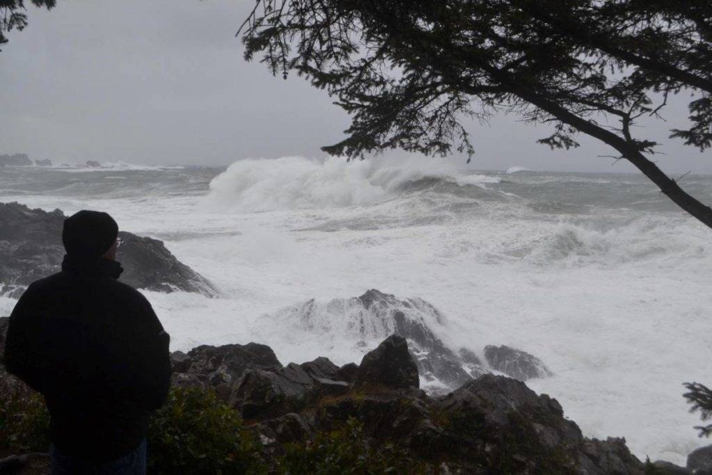 Strong winds to hit B.C.’s south coast Peace Arch News