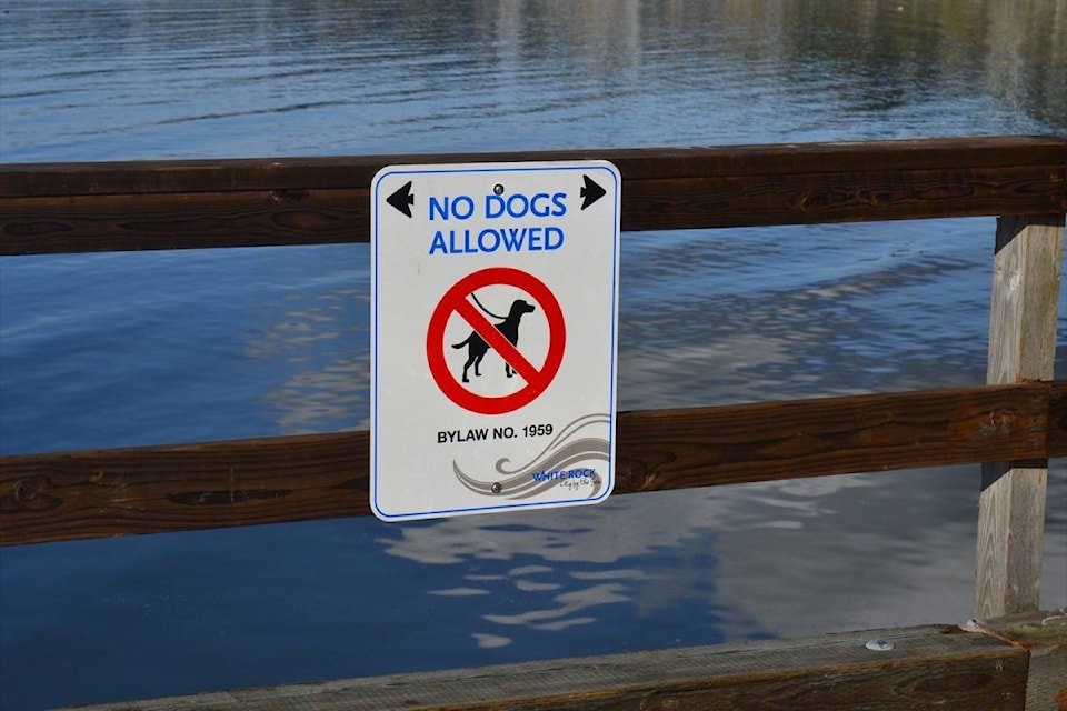 20142551_web1_200114-PAN-M-no-dogs-on-pier-sign-th