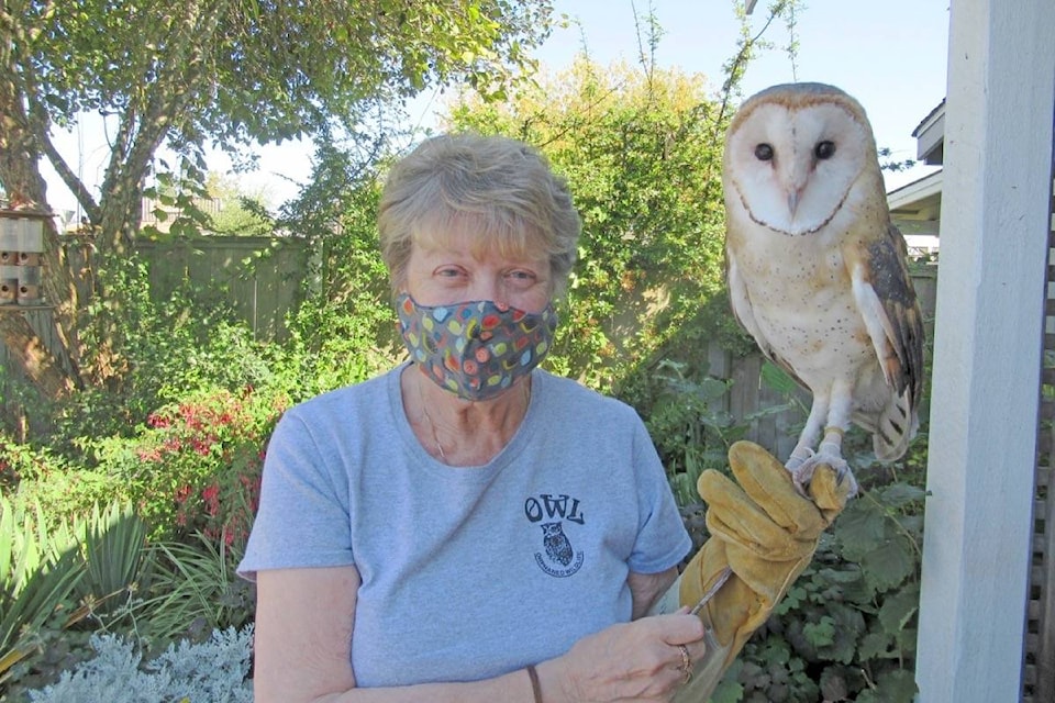 22463291_web1_200827-PAN-OWL-Tours-volunteer_1