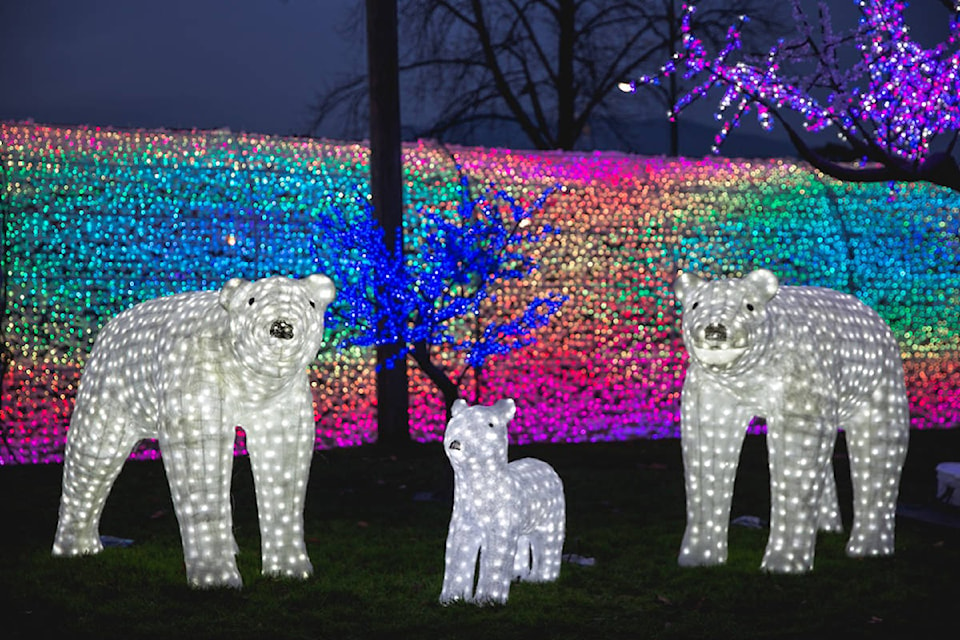 23575297_web1_201210-SUL-PNEWinterlights-bears_1