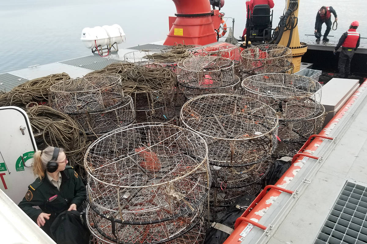 More than 300 illegal crab traps seized in waters near White Rock - Peace  Arch News
