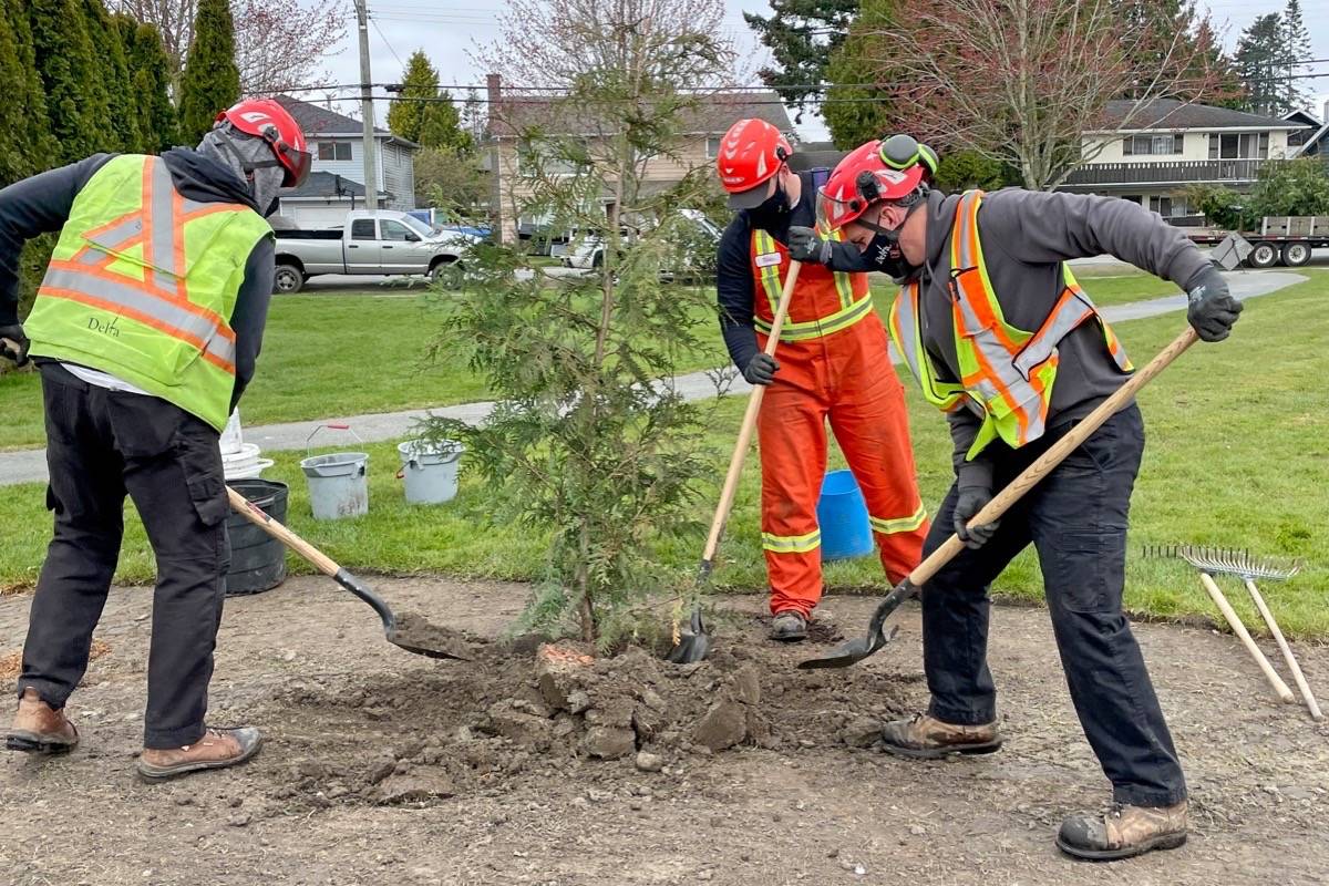 24870258_web1_210416-NDR-M-Giving-Tree-Project-City-of-Delta-staff-planting-trees