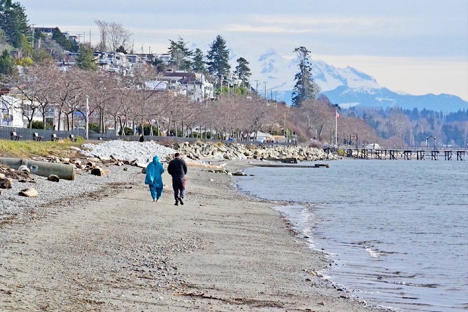 24911676_web1_XX20180315-PAN-M-180116-PAN-M-beach-walkers-th