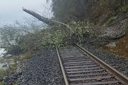 Debris covers a stretch of waterfront track, in the 14000-block of Marine Drive, on Nov. 15, 2021. (Ted Kopp photo)