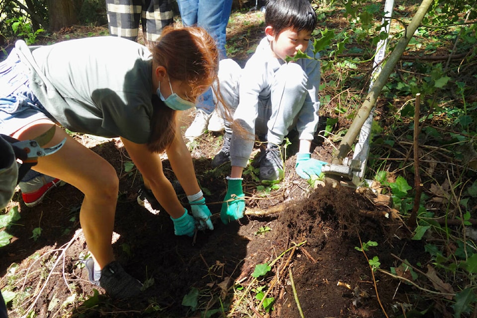 H.T. Thrift Elementary students help remove invasive plants during an Earth Day (April 22, 2022) effort organized by the Lower Mainland Green Team. (Contributed photo)