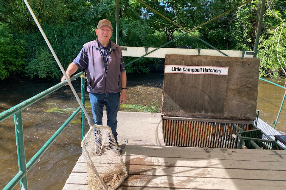 Little Campbell River Hatchery volunteer Roy Thompson said gravel pushed downstream by last November’s flooding jammed the gates of the fish fence, damaging some of them in the process. (Brenda Anderson photo)