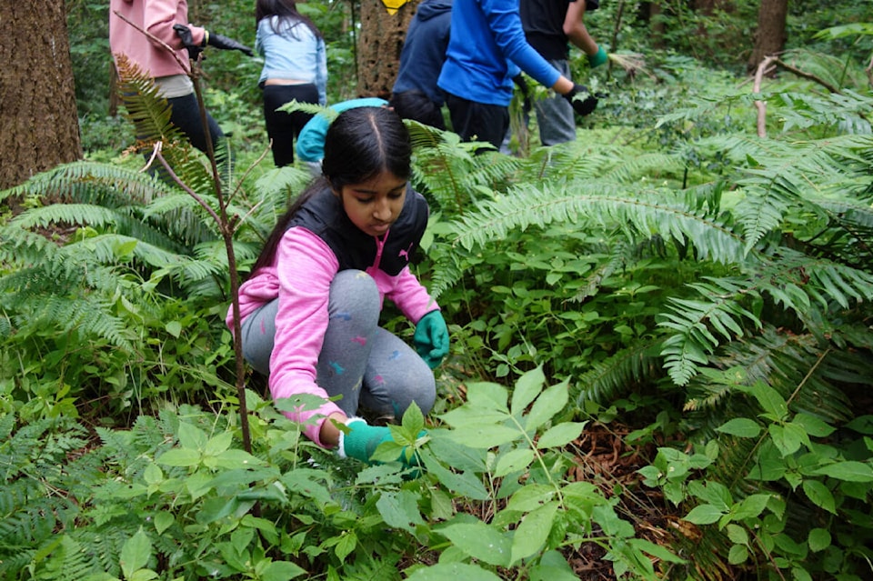 29541245_web1_220630-PAN-GreenTeam-RuthJohnsonPark_3