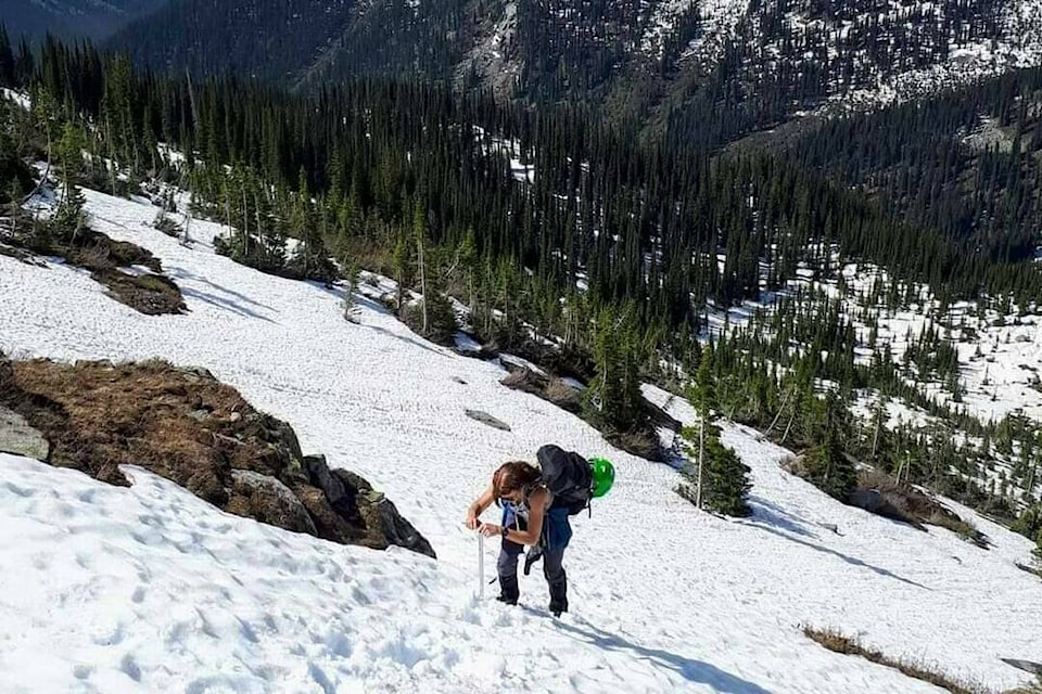 One day after celebrating a very warm Canada Day in Trail on Friday, Brenda Haley and her hiking pals set out on a trek through the snow to take in the majestic views of Kootenay Glacier Provincial Park. Photos: Brenda Haley
