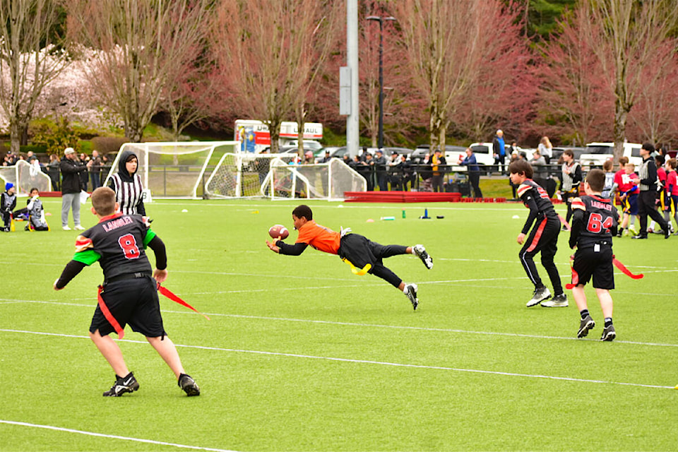 A player for one of the Cloverdale Community Football Association’s flag football teams (in orange) dives for the ball in a game April 22 at Town Centre Park in Coquitlam. The VMFL’s spring flag football season kicked off that day with its first jamboree of the 2023 season. (Photo submitted: Peter Lopez)