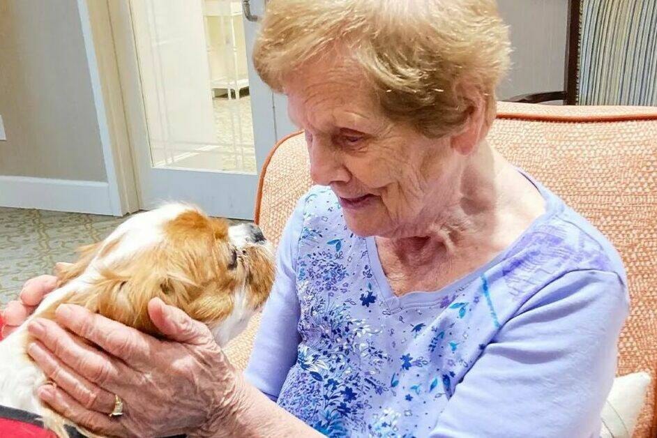 Pet and therapy dogs are welcomed at Amica White Rock, where officials say the animals contribute to seniors’ well-being. (Contributed photo)