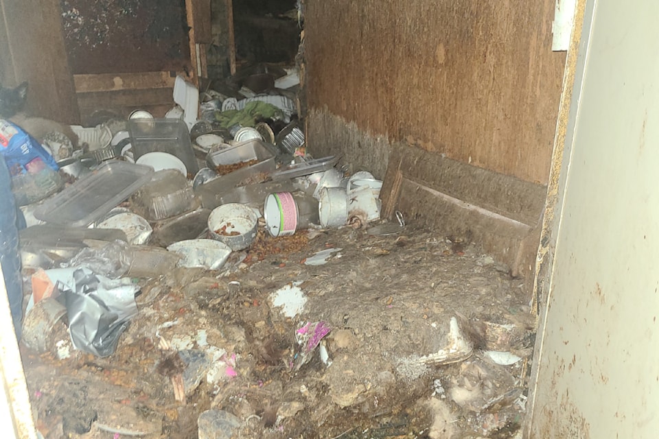 Area residents say multiple deceased cats were removed July 23, 2025 from an abandoned travel trailer in South Surrey.