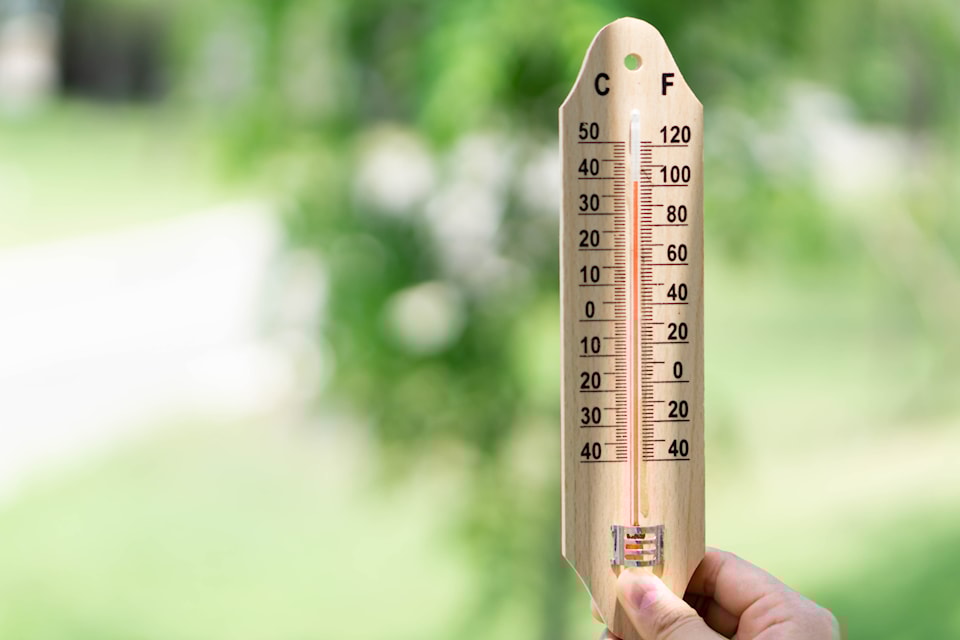 HeatWaveThermometer