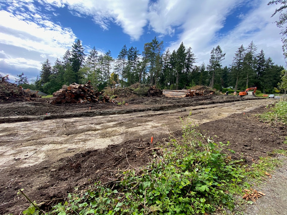 clearcut