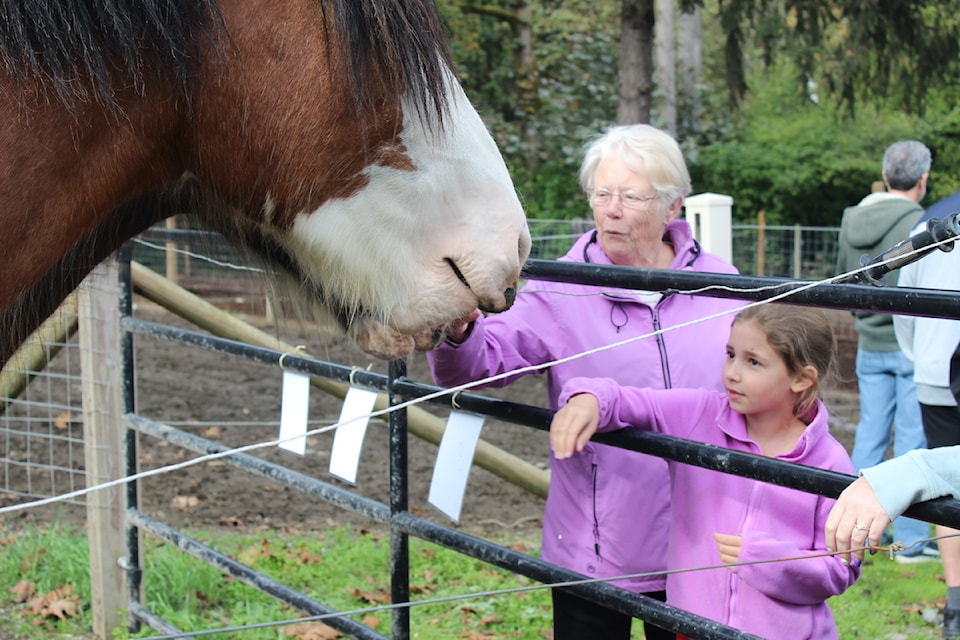 Visitors to Tally-Ho's Hidden Acres farm, Lynn and her 9-year-old granddaughter Isabella, pet one of the horses.
