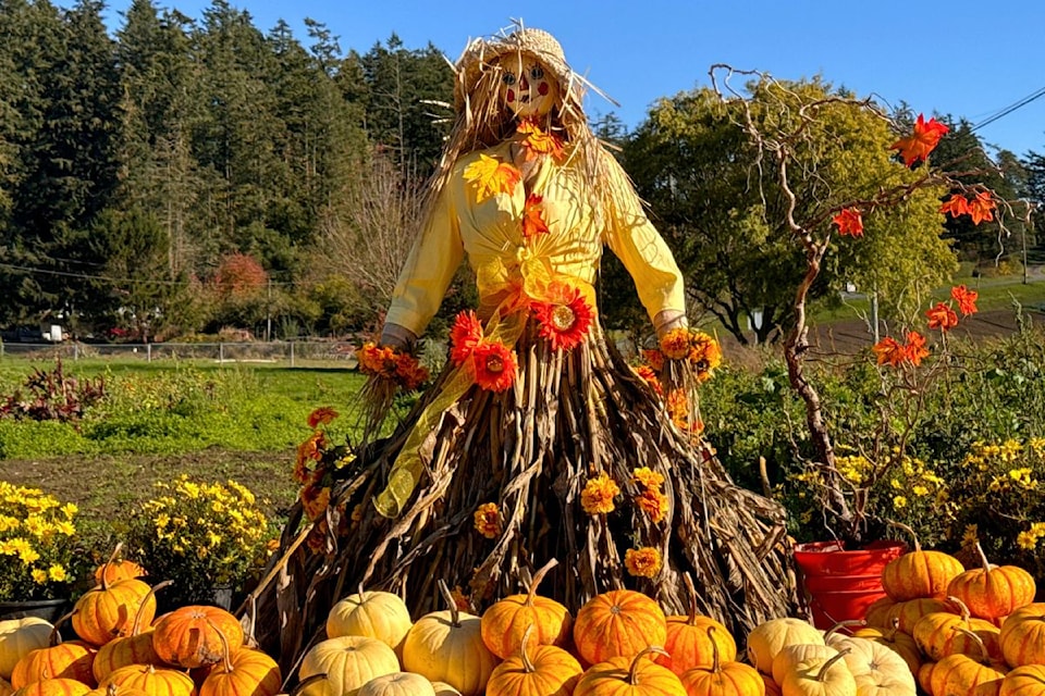 The Scarecrow Lady stikes a colourful pose at Firbank Farm.