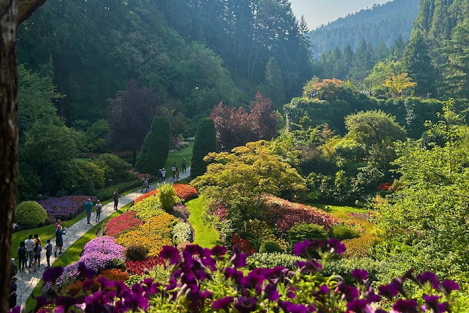 butchart-gardens