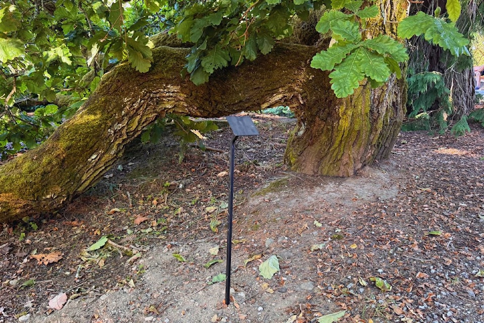 dominion-brook-park-sign-post