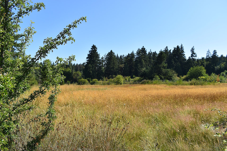foodlands-bear-hill