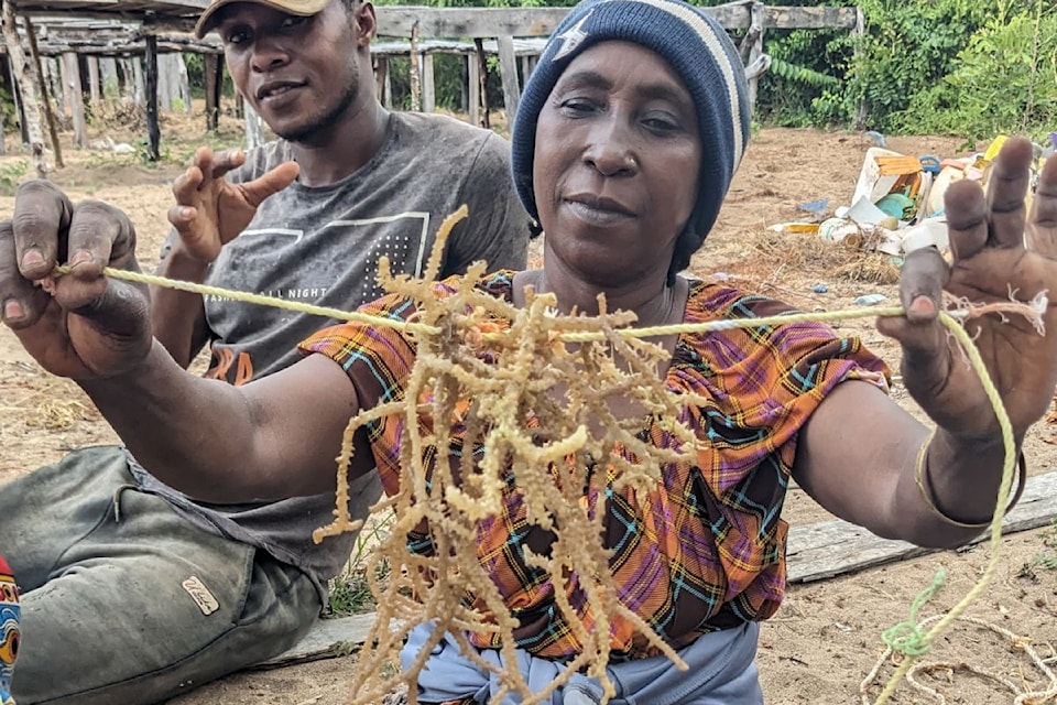 seaweed-farmers-kenya-woman