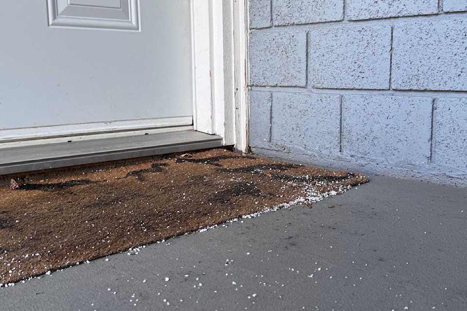 styrofoam-door