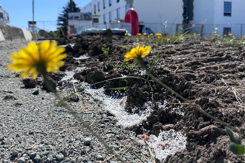 Clusters of Styrofoam debris near the hotel construction site.