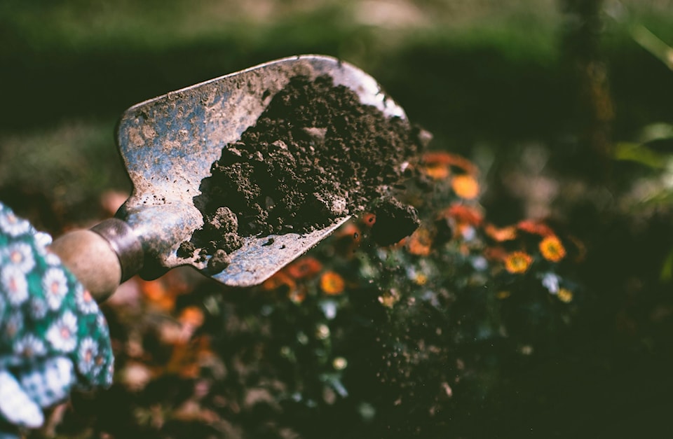 gardening