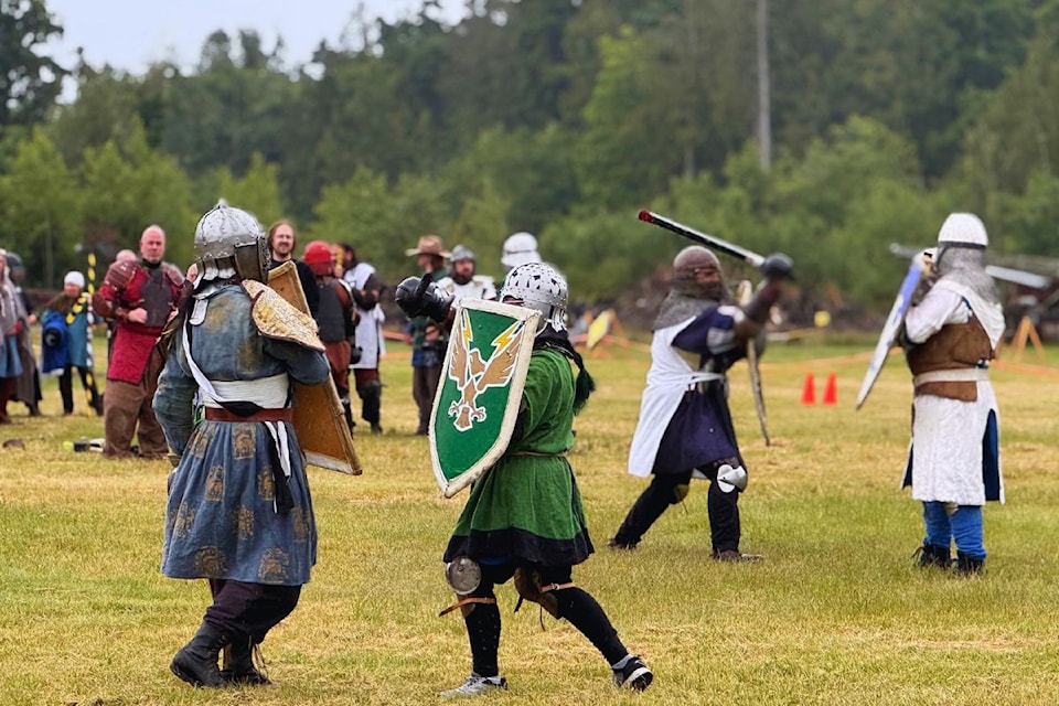 sealion-medieval-combat