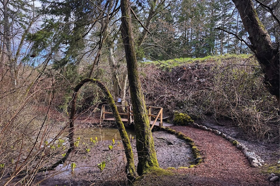 bridge-eden