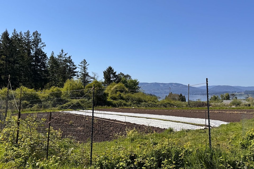 farm-1
