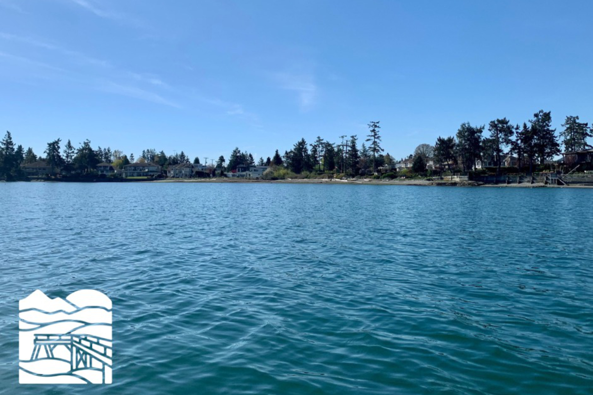 Group warns of Vancouver Island shoreline being lost to urban concrete and rock