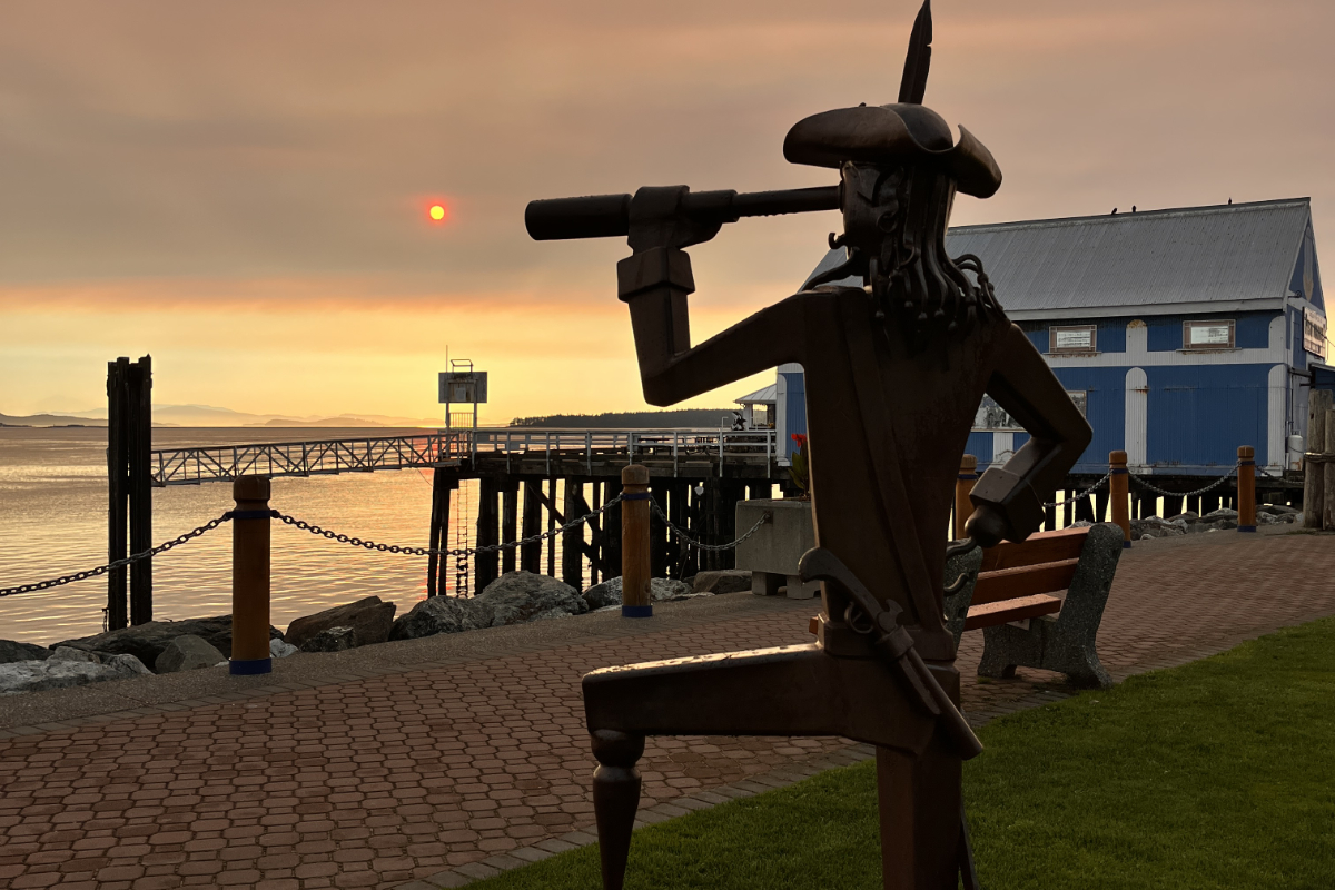 Greater Victoria's apocalyptic sun likely not due to '80s volcanic ash