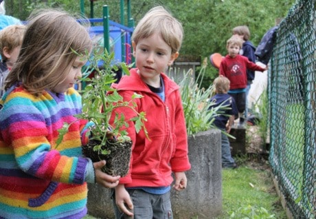 12962sidneycountrysidepreschoolplanting