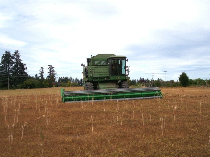 31161sidneycombining-lentils-2011