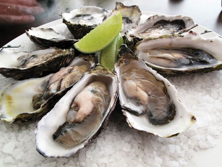 5212sidneywebPacific_oysters